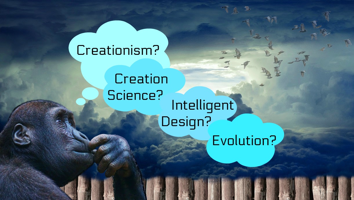 Intelligent Design - The Steve Noble Show - Daily Dose