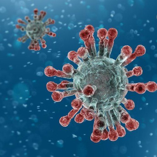 Losing my mind over COVID.