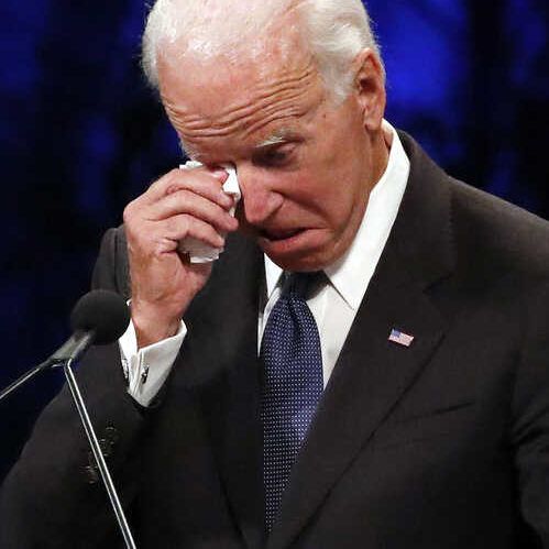 Biden Wipes Out