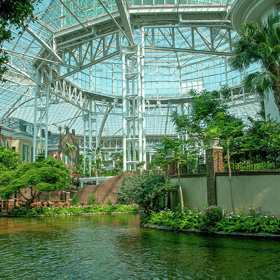 Faith and Freedom Leaders