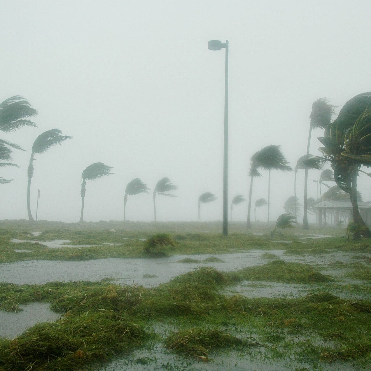 PRAYING for Hurricane Ian Victims!