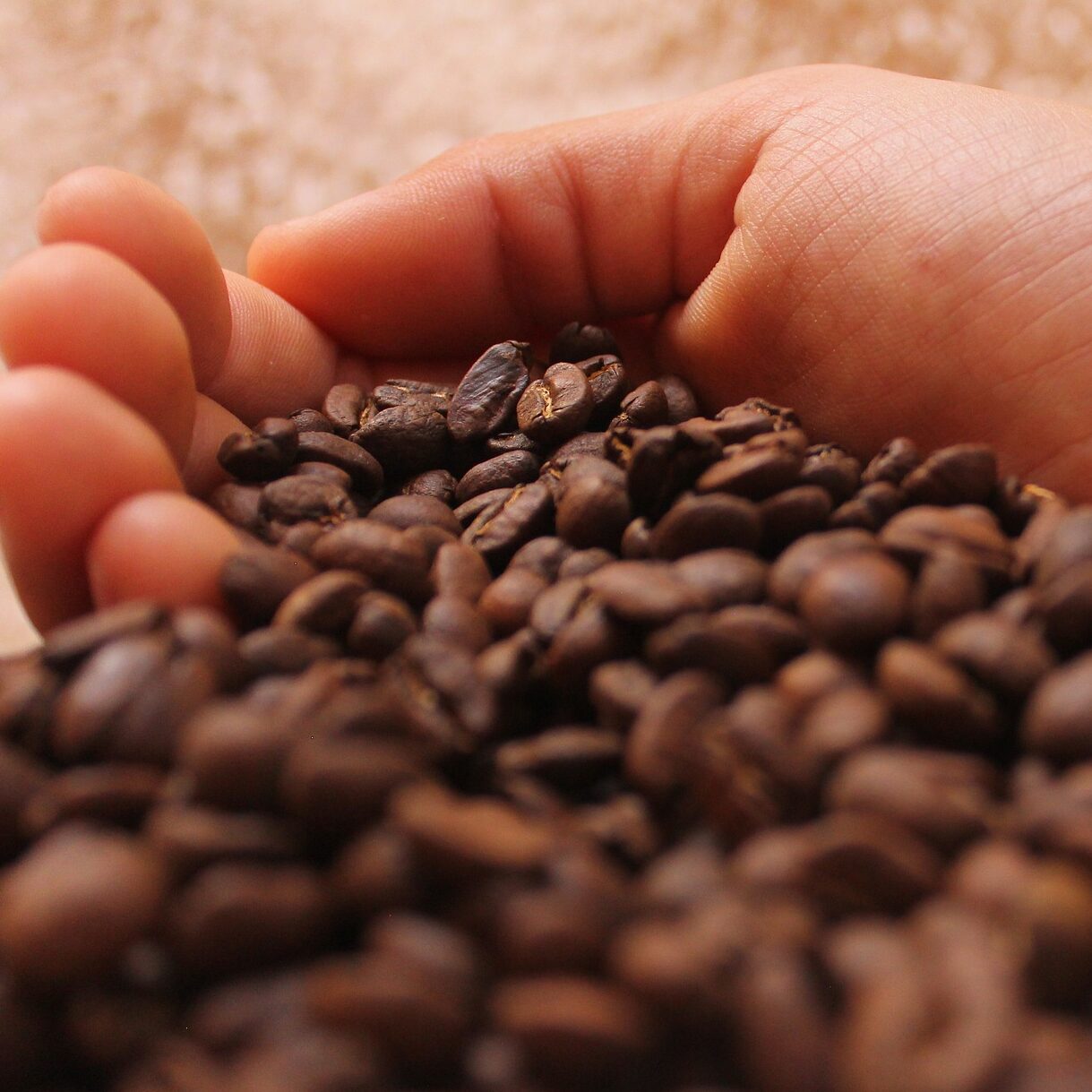 Coffee, Politics, and Money